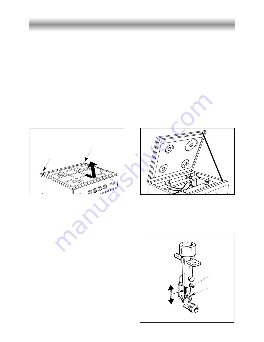 DèLonghi GSI501A User Operating Instructions Manual Download Page 19