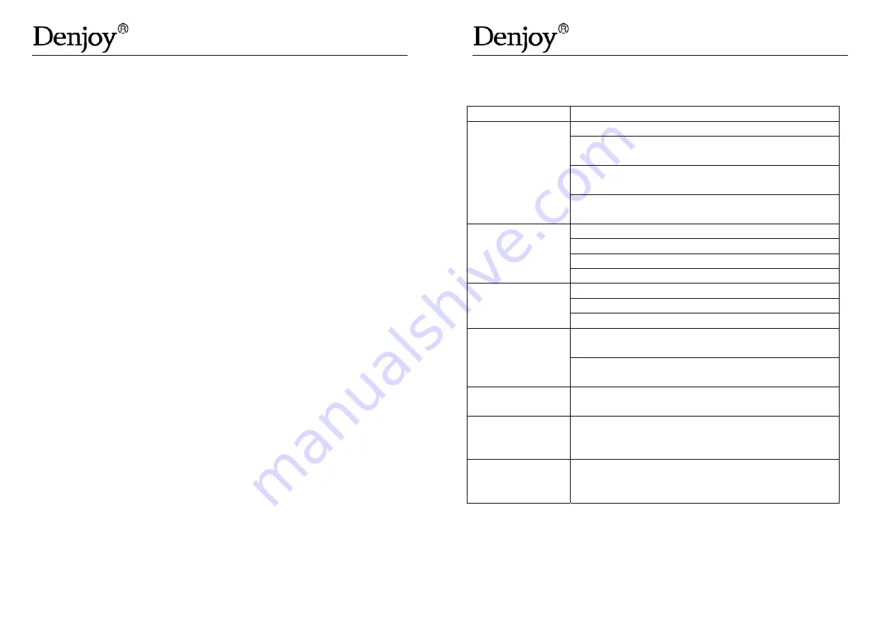 Denjoy DY-GP Plus Скачать руководство пользователя страница 12