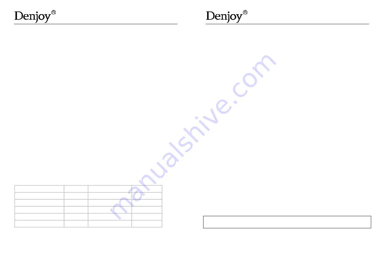 Denjoy DY-GP Plus Скачать руководство пользователя страница 13