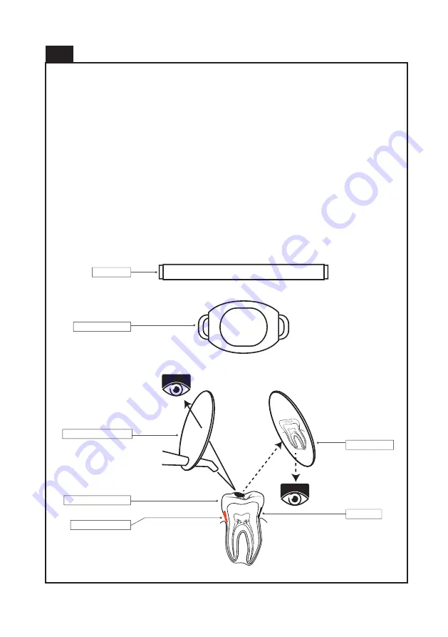 Dentmate Ledex WL-090+ Instructions For Use Manual Download Page 12