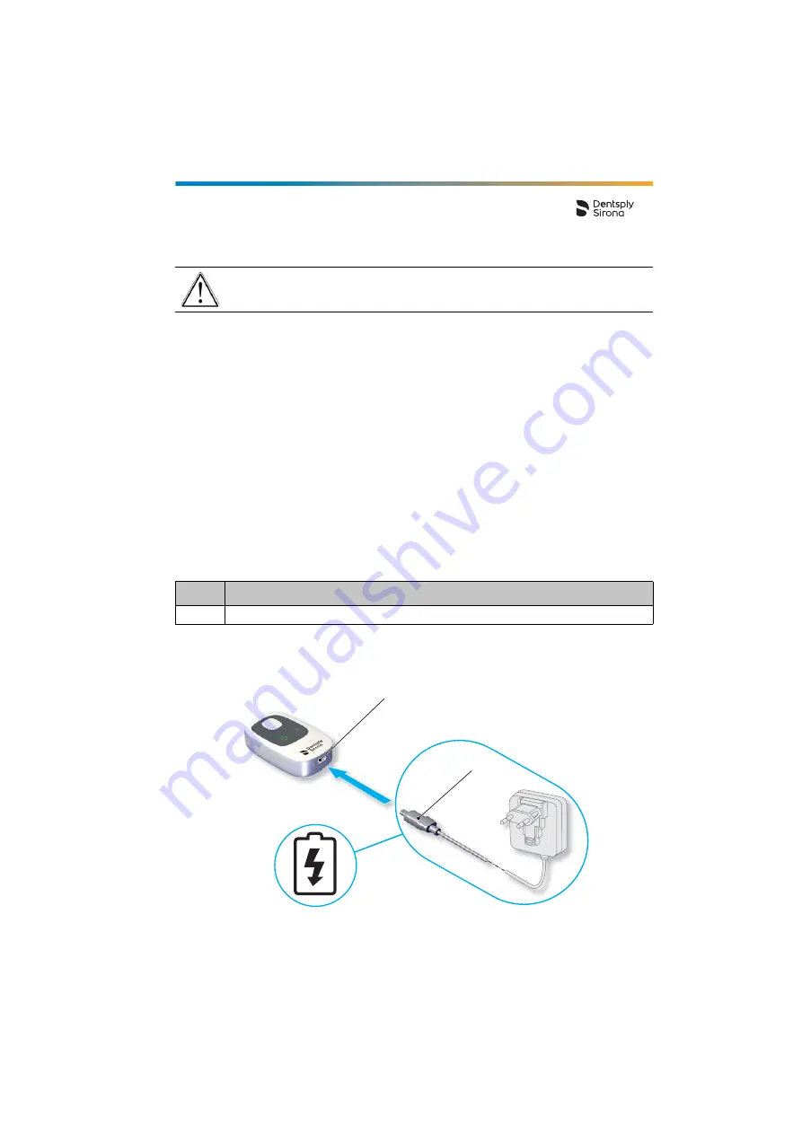 Dentsply Sirona Propex IQ Directions For Use Manual Download Page 41