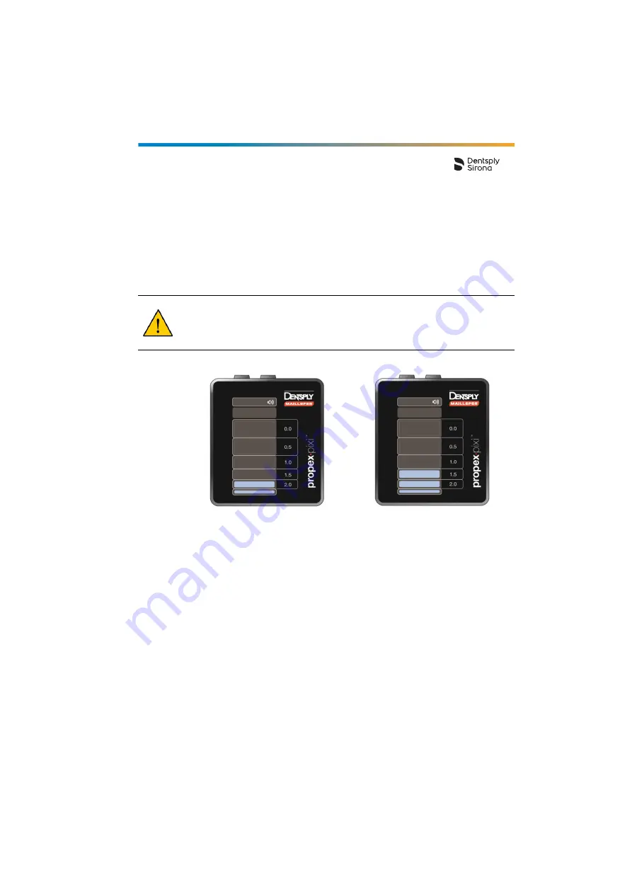 Dentsply Sirona Propex Pixi User Manual Download Page 249