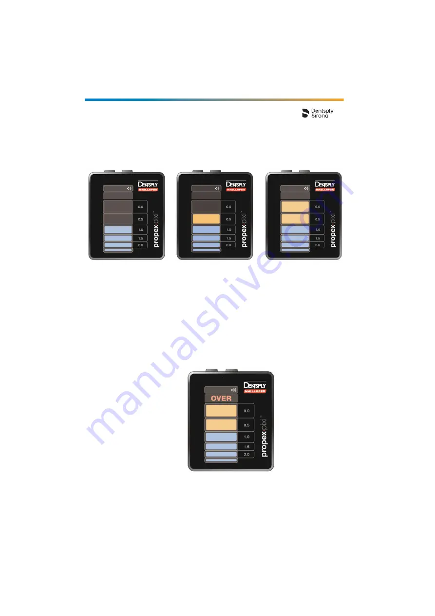 Dentsply Sirona Propex Pixi User Manual Download Page 618