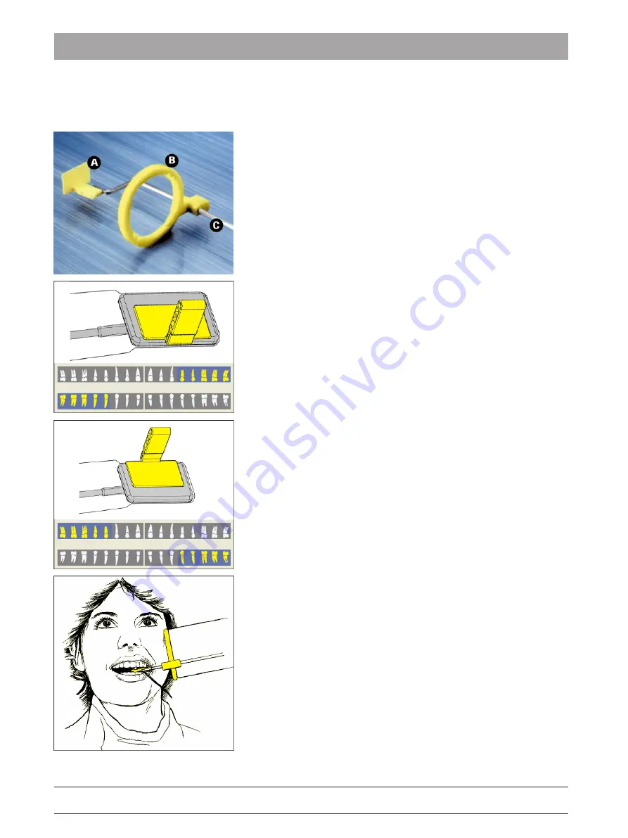 Dentsply Sirona Xios AE Operating Instructions Manual Download Page 44