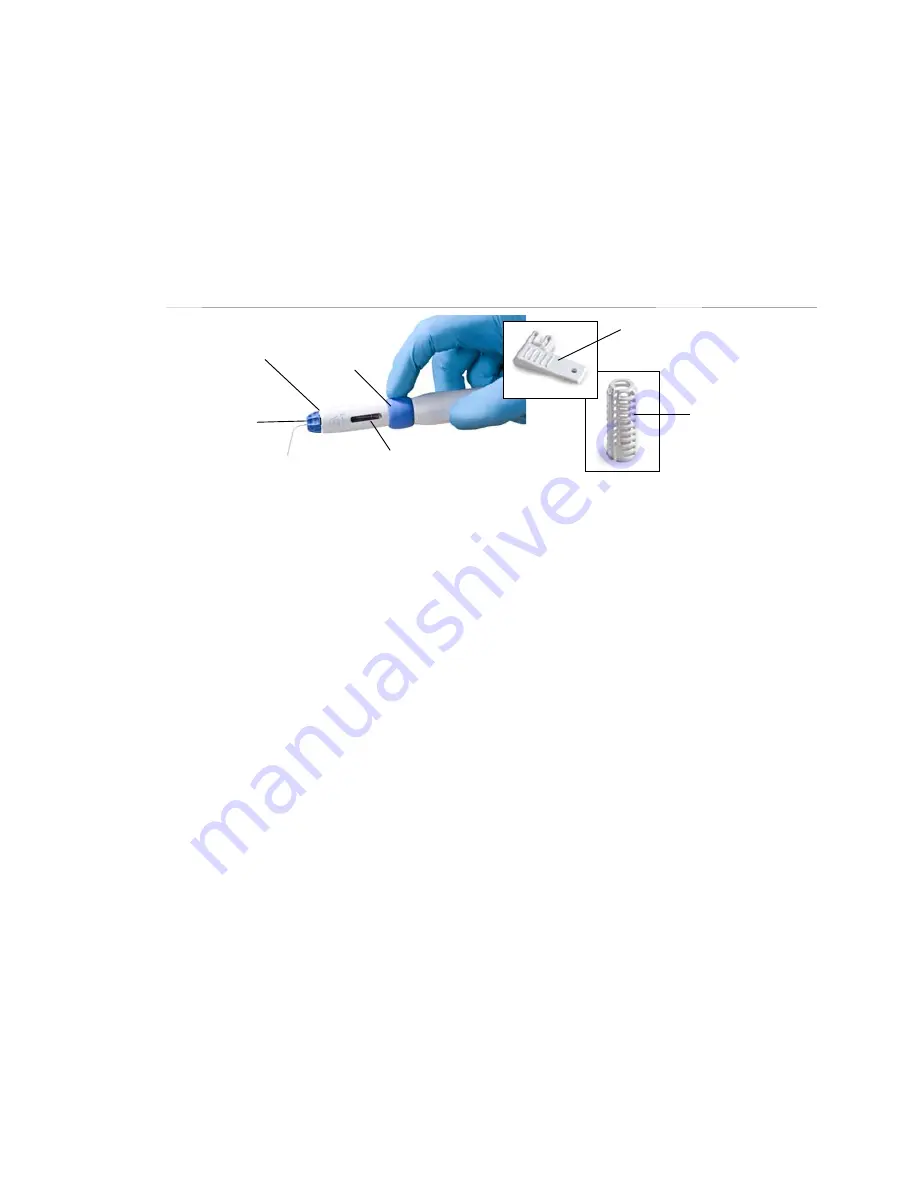 DENTSPLY Clamus DUAL Manual Download Page 17