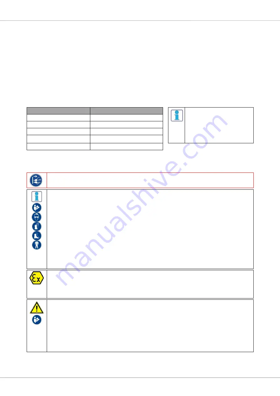 DESOI PowerInject P1 User Manual Download Page 9