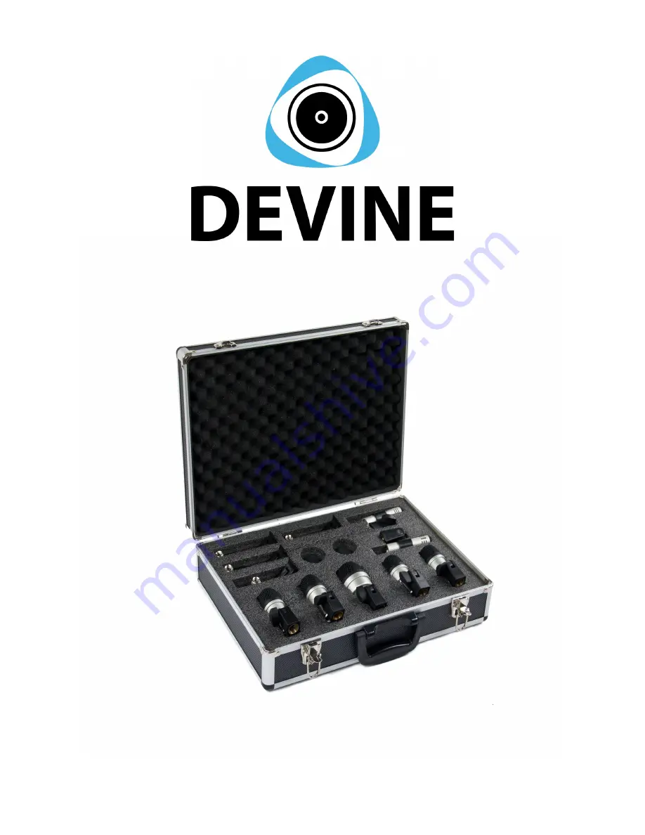 Devine MIC-DS Скачать руководство пользователя страница 1