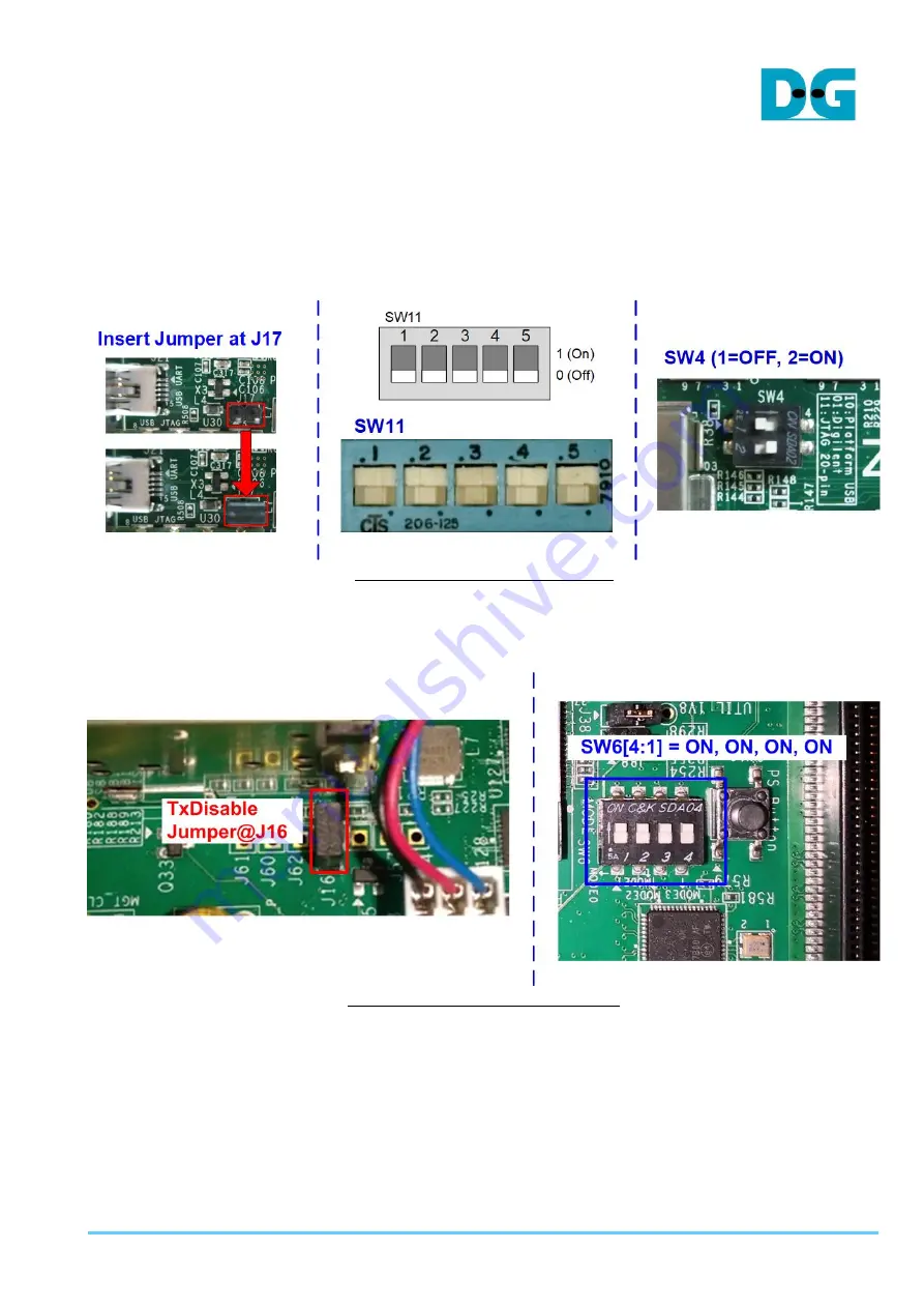 DG TOE10G IP Скачать руководство пользователя страница 13