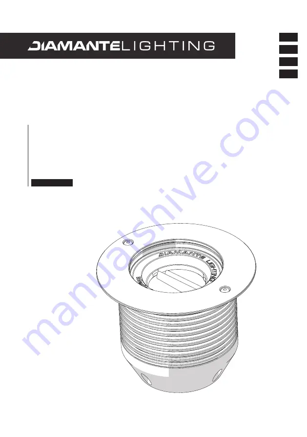 Diamante PASSO 10 Скачать руководство пользователя страница 1