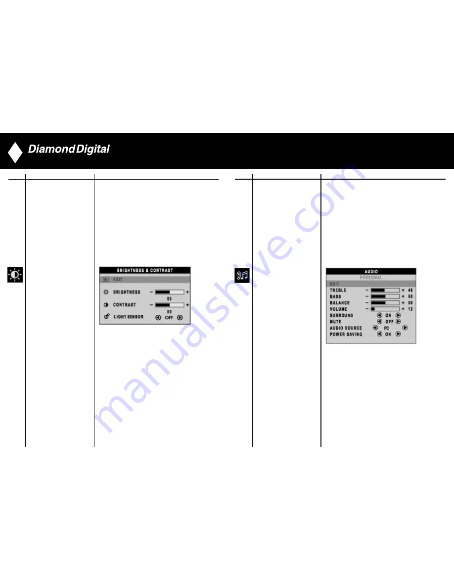 Diamond Digital DV300 Скачать руководство пользователя страница 13