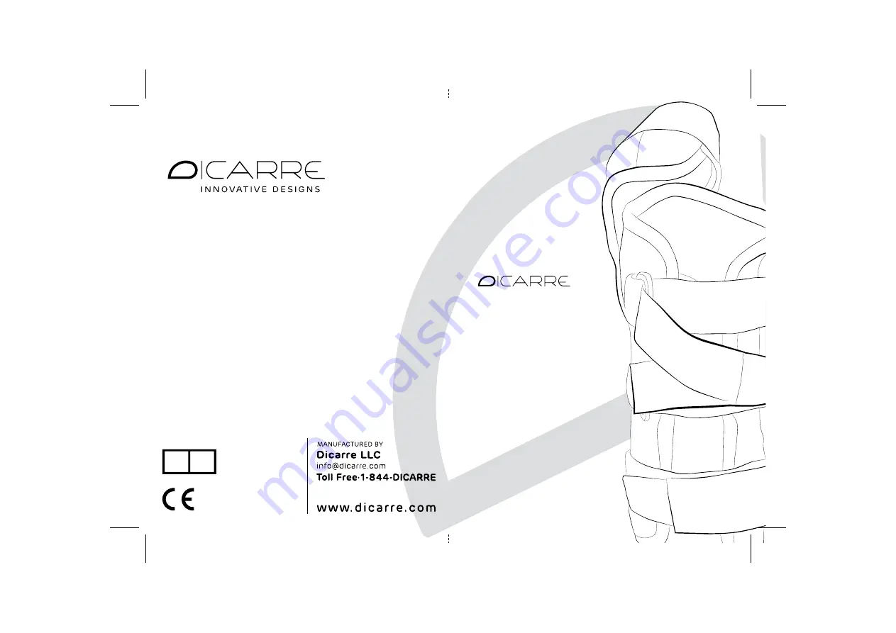 Dicarre DW03 User Manual Download Page 1