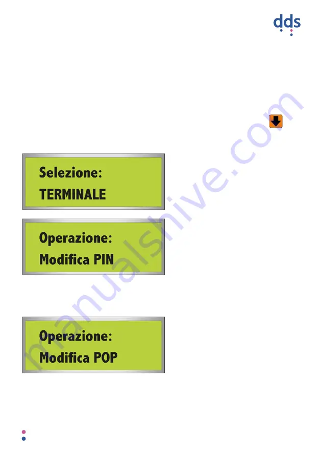 DIDIESSE Palmare Handheld Operating Instructions Manual Download Page 13