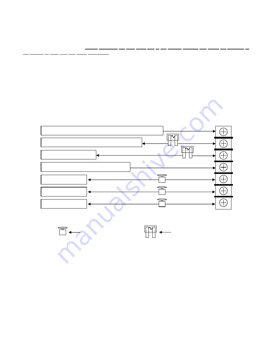 DIGITAL DELAY Elite 95 Manual Download Page 11