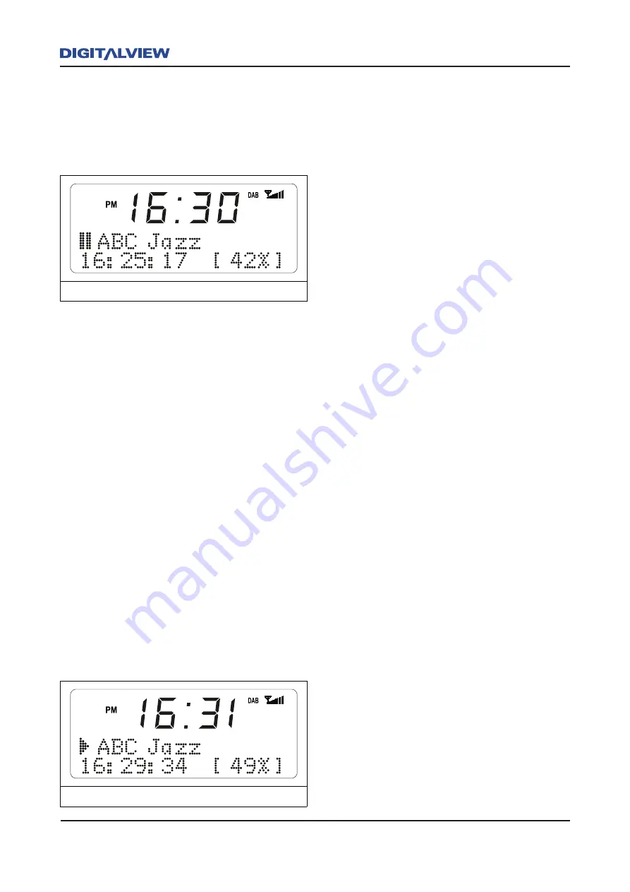 Digital View DRR-113 Owner'S Manual Download Page 17