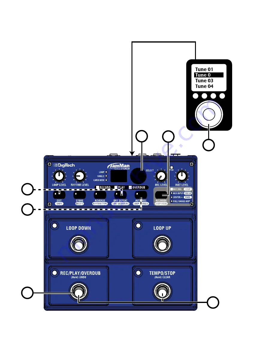 DigiTech JAMMAN - MANUAL 2 Owner'S Manual Download Page 39