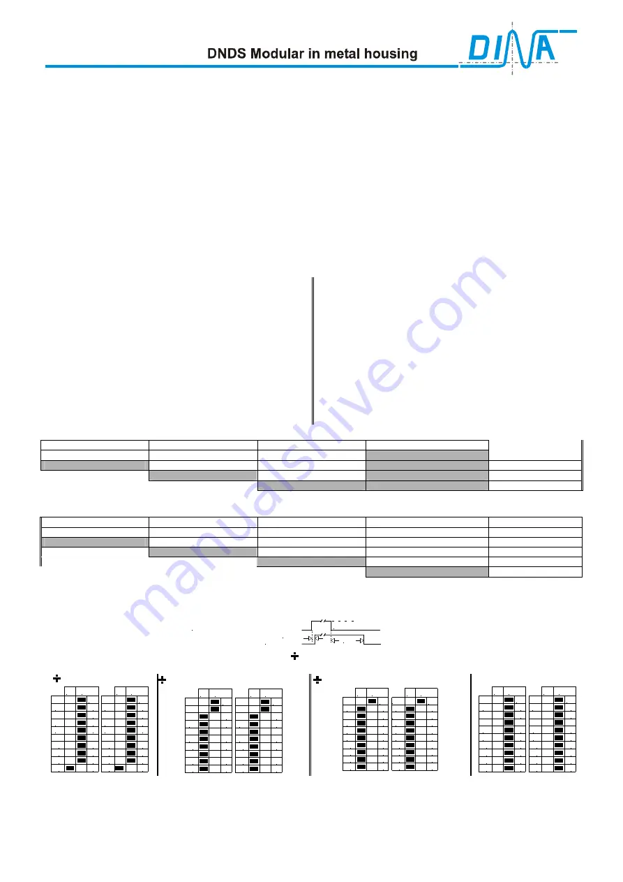 DINA Elektronik DBDS 1VMG Product Information Download Page 6