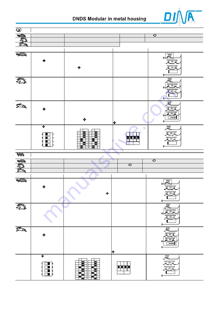 DINA Elektronik DBDS 1VMG Product Information Download Page 13