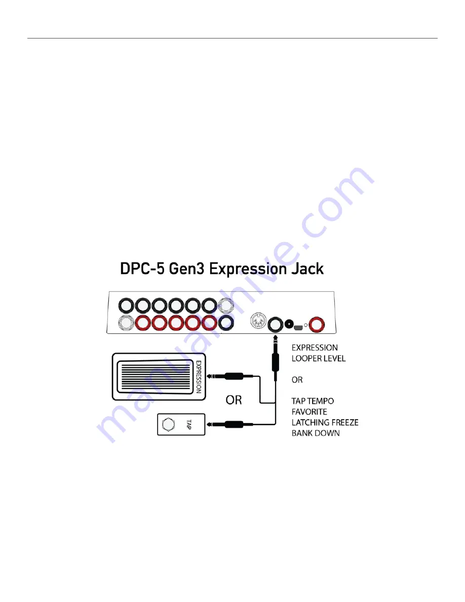 Disaster Area Designs DPC-5 Gen3 User Manual Download Page 19