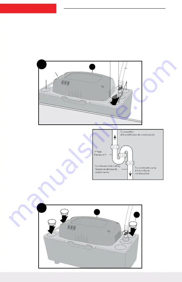 DIVERSITECH Asurity ULTRACP-22 Installation Instructions Manual Download Page 20