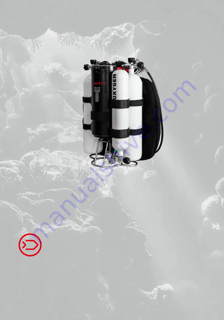 Divesoft LIBERTY HEAVY Manual Download Page 1