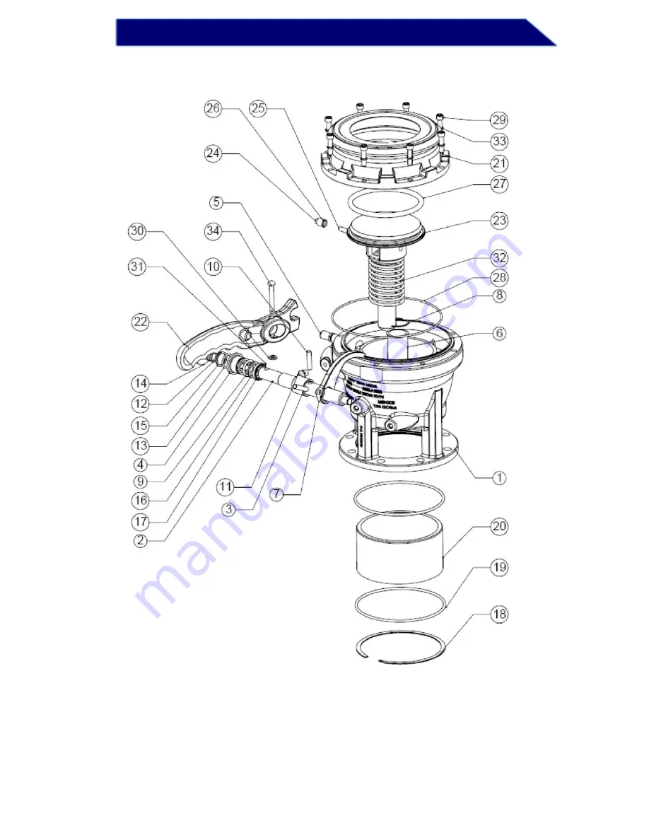 Dixon BAYCO 5204SFI Скачать руководство пользователя страница 3