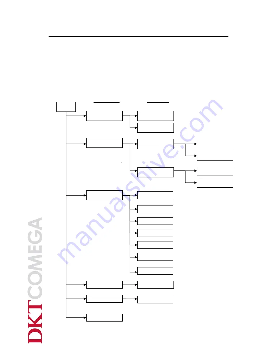 DKT Comega OFA-CCD series User Manual Download Page 12