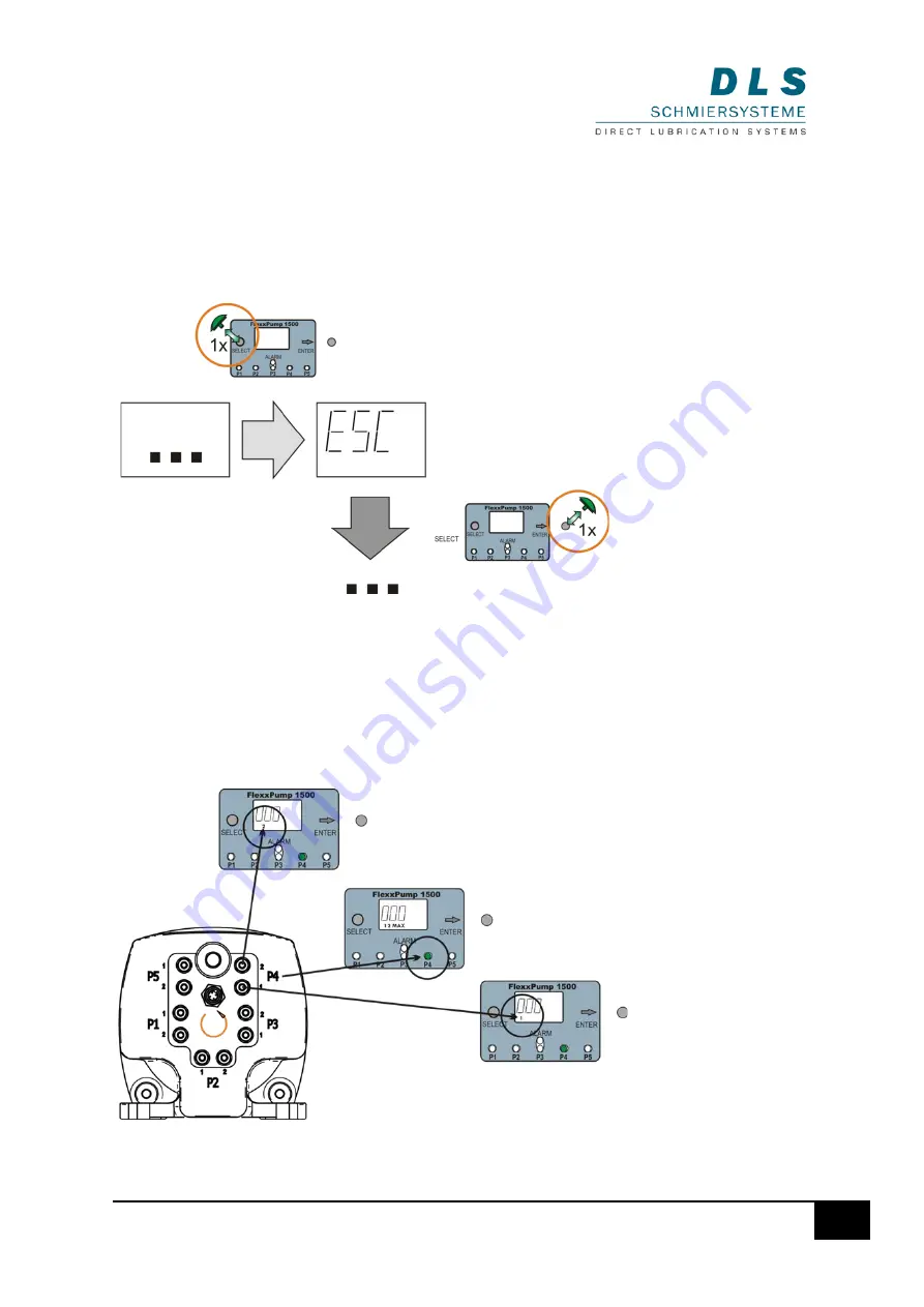 DLS FlexxPump 1500 Скачать руководство пользователя страница 28