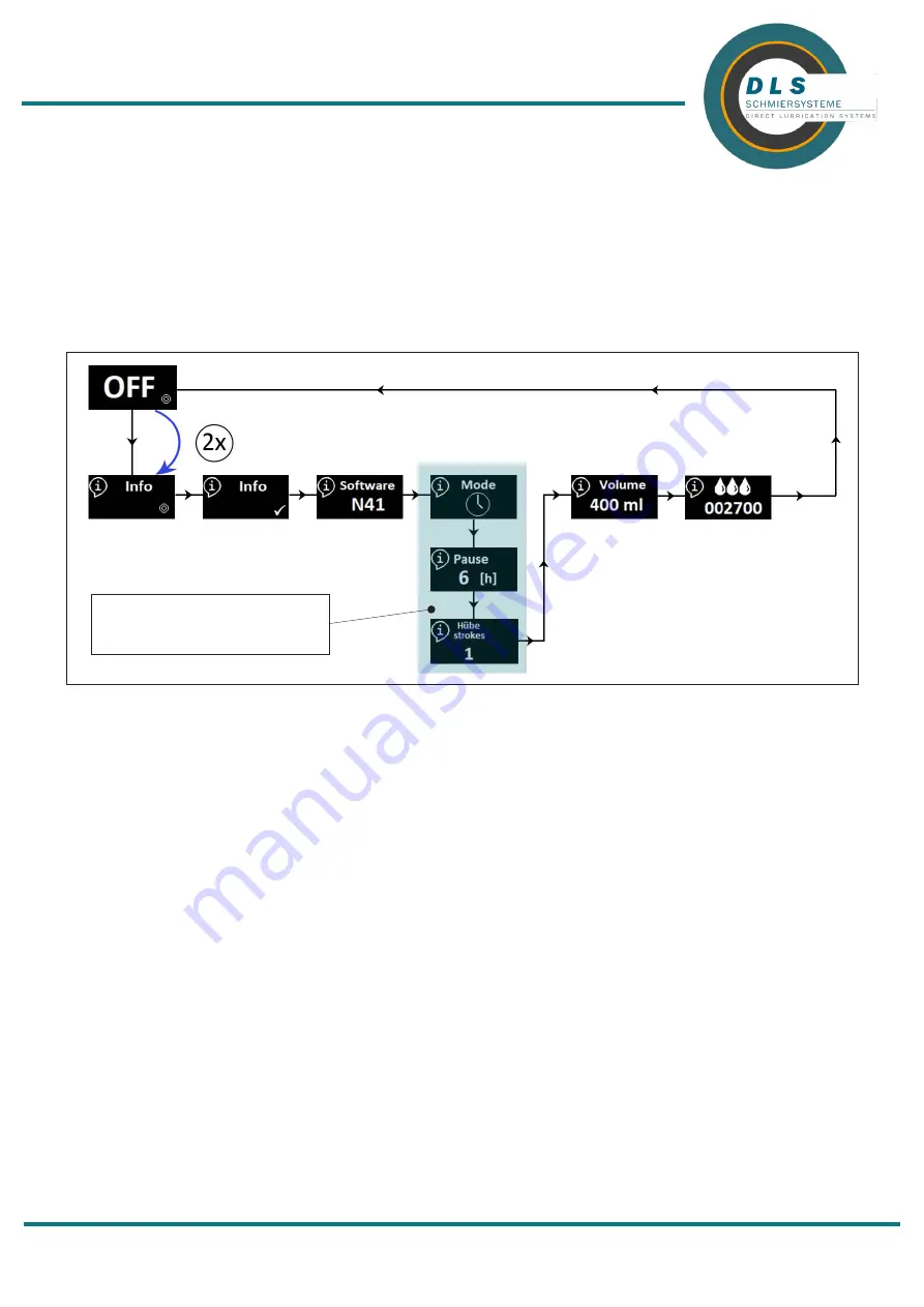 DLS FlexxPump 250 OLED User Manual Download Page 31