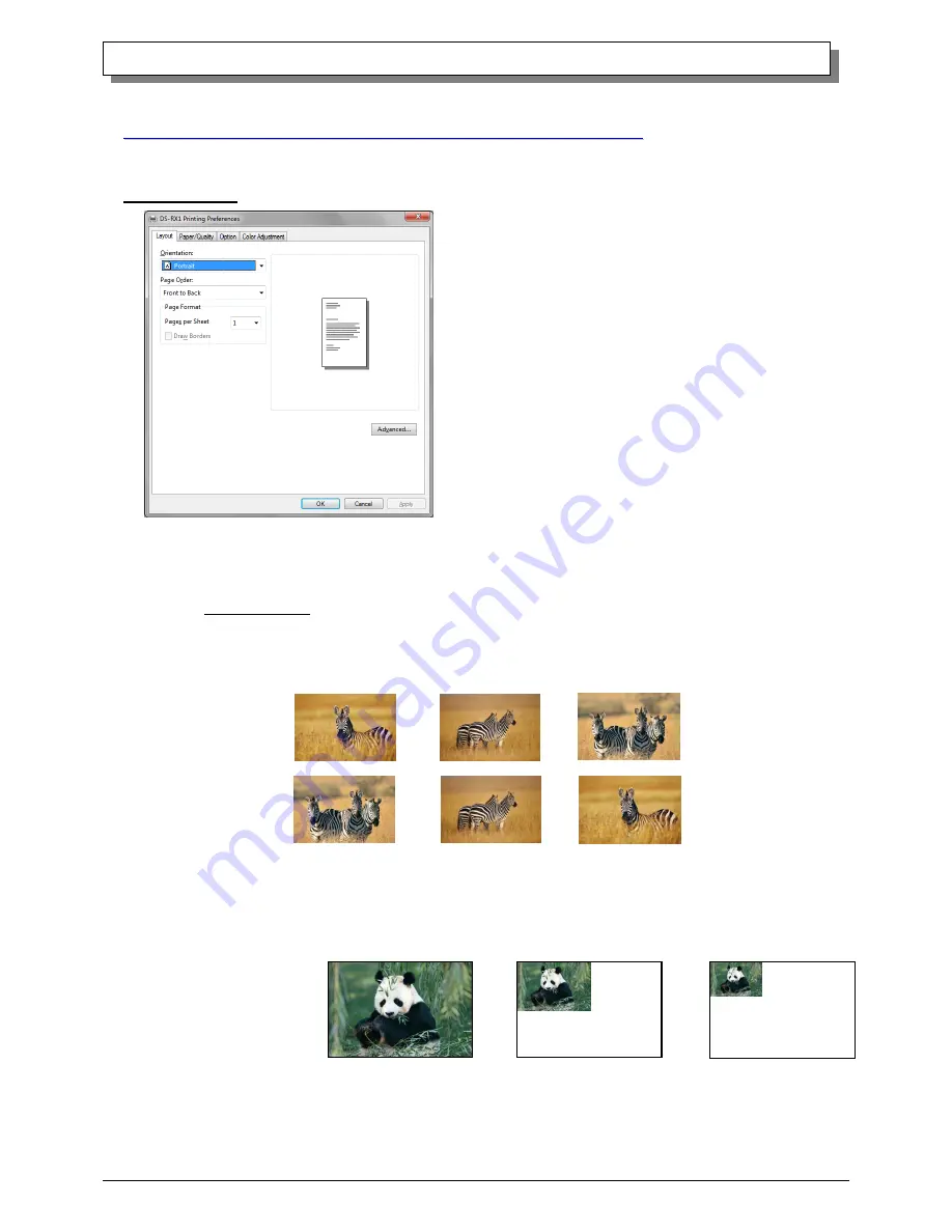 DNP DS-RX1 HS Driver Manual Download Page 17