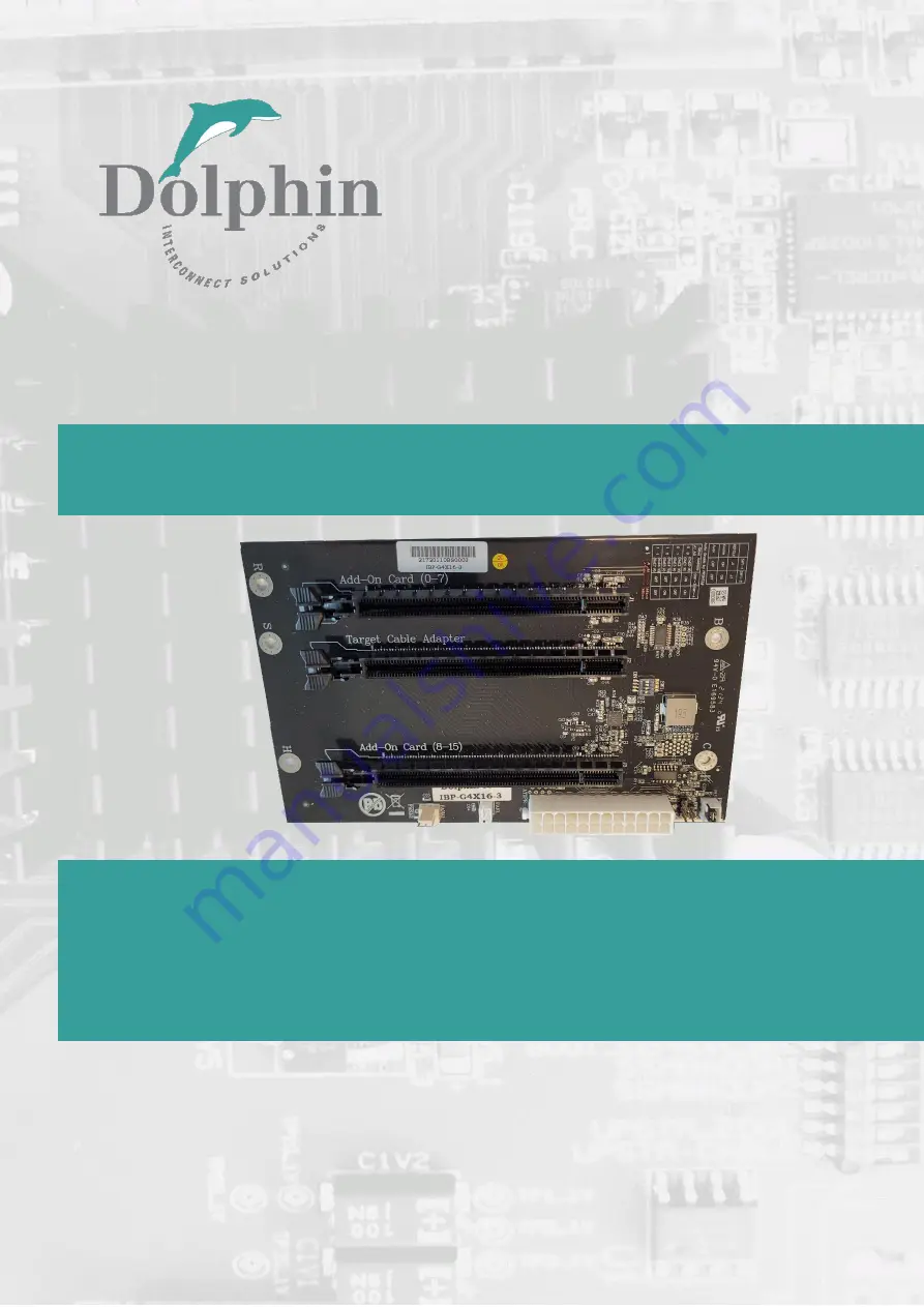 Dolphin IBP-G4x16-3 Скачать руководство пользователя страница 1