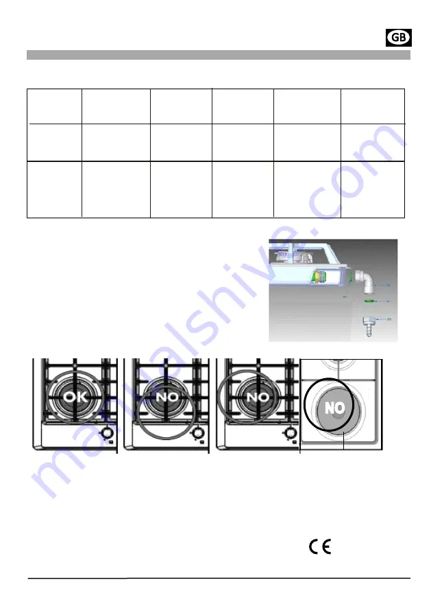 Dominox DHG 301 1G BK F C Manual Download Page 19