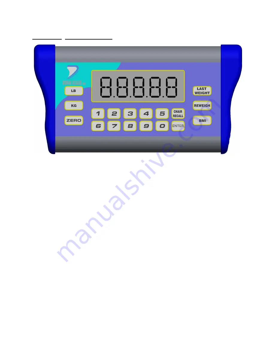 Doran Scales DS9100 Instruction Manual Download Page 10