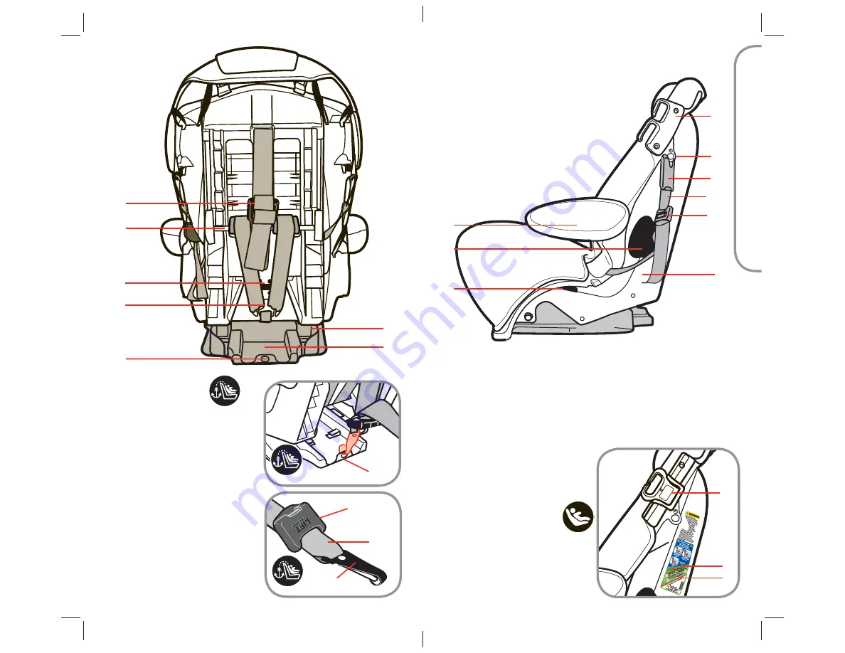 Dorel Juvenile Group Alpha Omega Elite 65 Manual Download Page 5