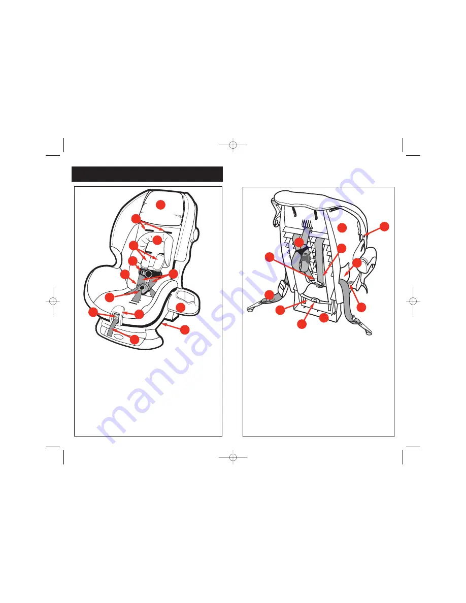 Dorel Juvenile Group Scenera Instruction Manual Download Page 3