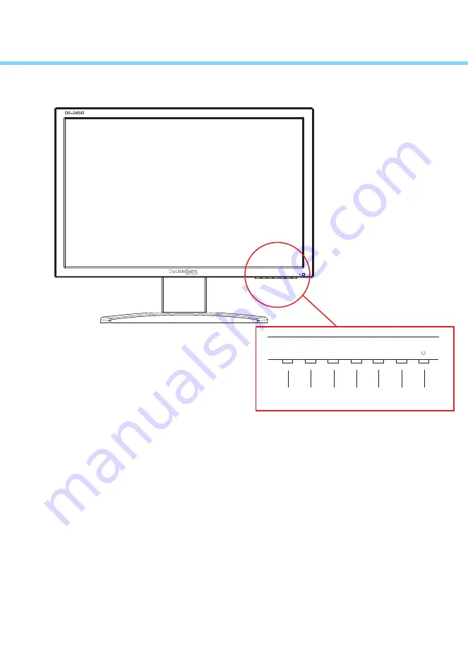 DoubleSight DS-245V2 User Manual Download Page 9