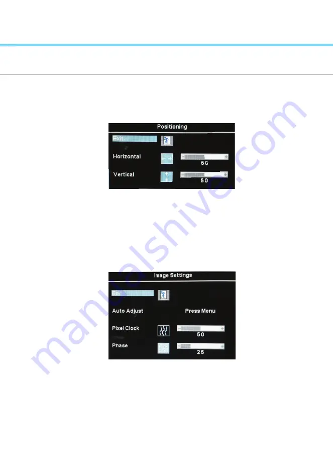 DoubleSight DS-245V2 User Manual Download Page 13