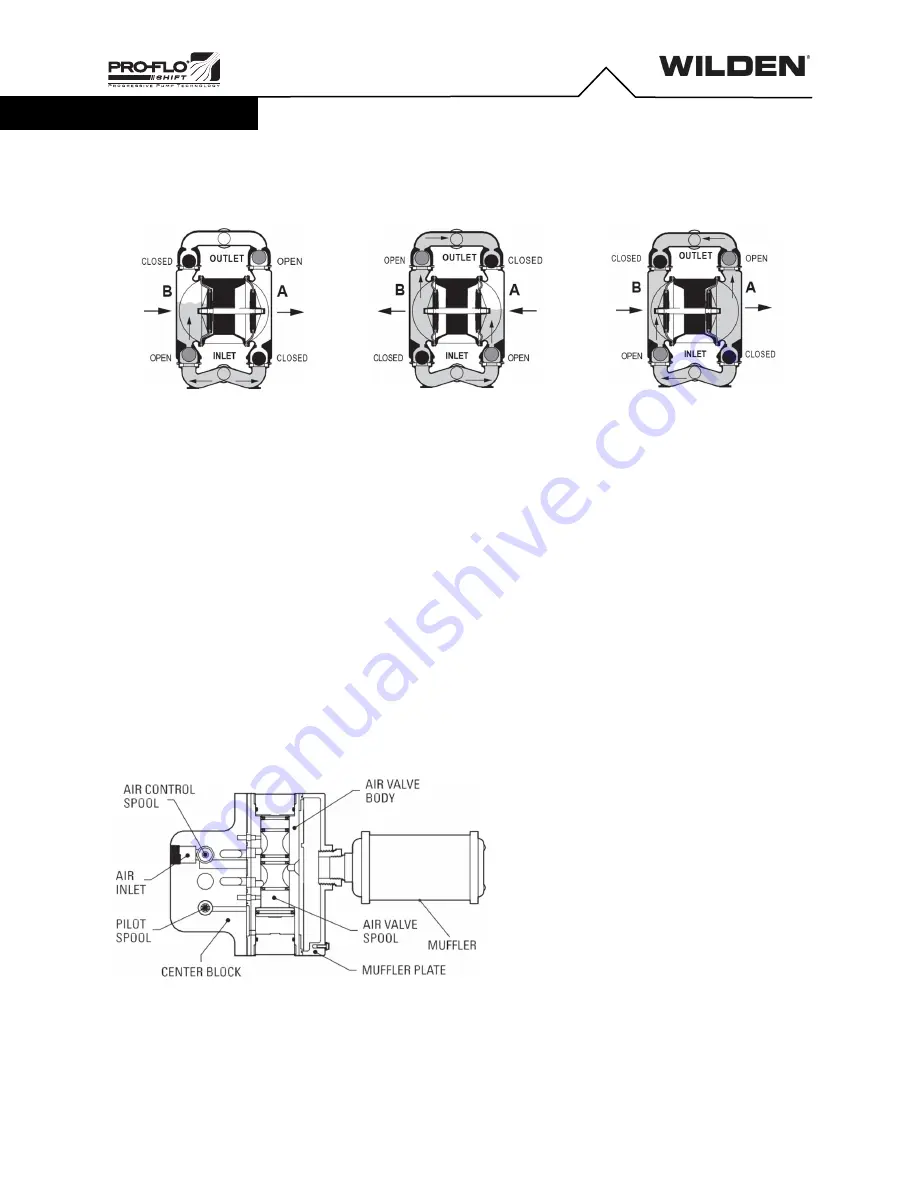 Dover DOVER PSG WILDEN PRO-FLO XPS820 AAAAA Series Скачать руководство пользователя страница 6