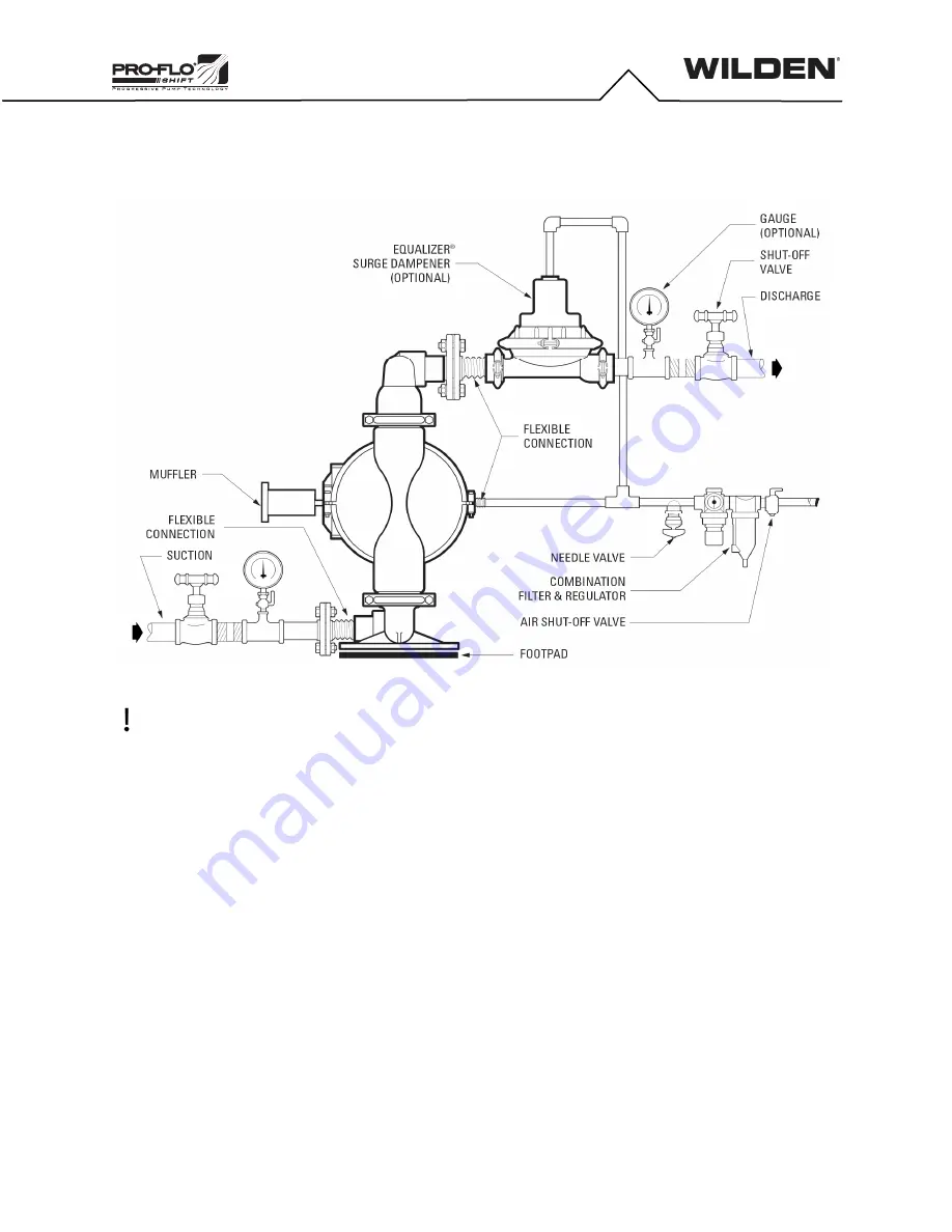 Dover DOVER PSG WILDEN PRO-FLO XPS820 AAAAA Series Engineering Operation & Maintenance Manual Download Page 14