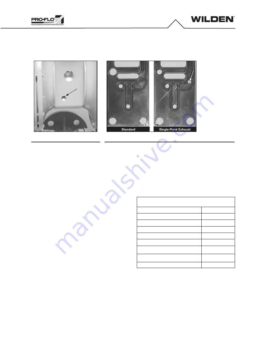 Dover DOVER PSG WILDEN PRO-FLO XPS820 AAAAA Series Engineering Operation & Maintenance Manual Download Page 22