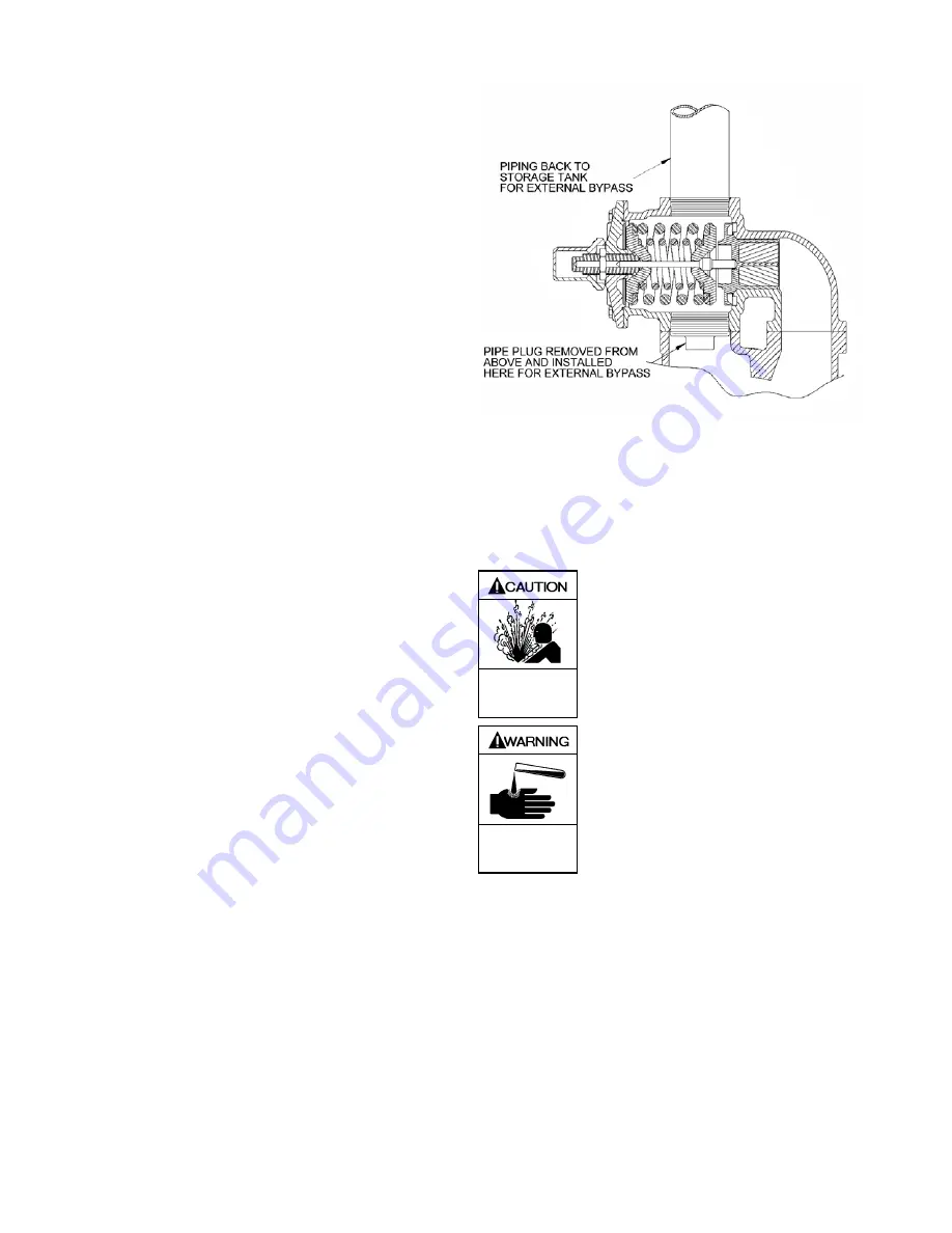 Dover PSG BLACKMER MLN4B Installation, Operation And Maintenance Instructions Download Page 6