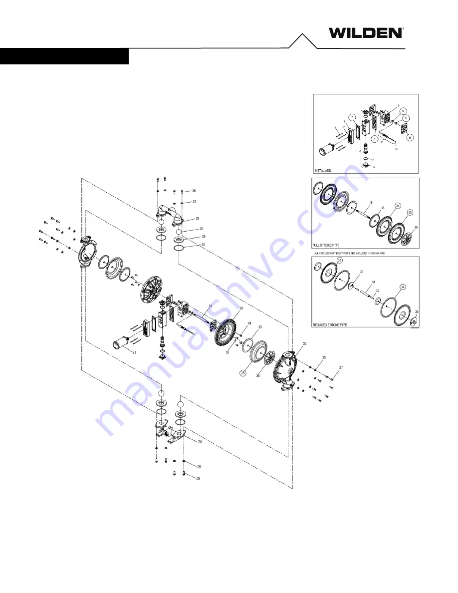 Dover PSG WILDEN PR860 Скачать руководство пользователя страница 22