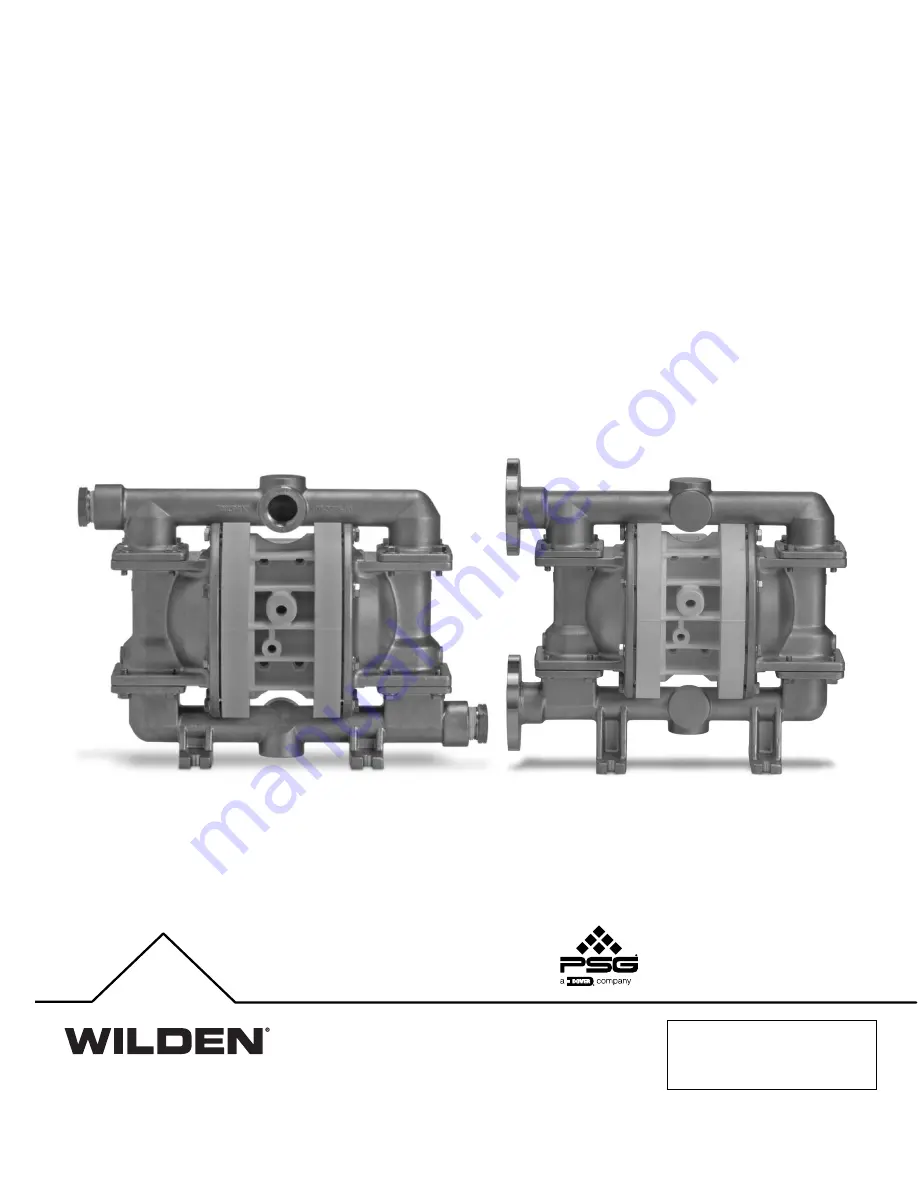 Dover PSG Wilden Pro-Flo 230/SSPPP Скачать руководство пользователя страница 1