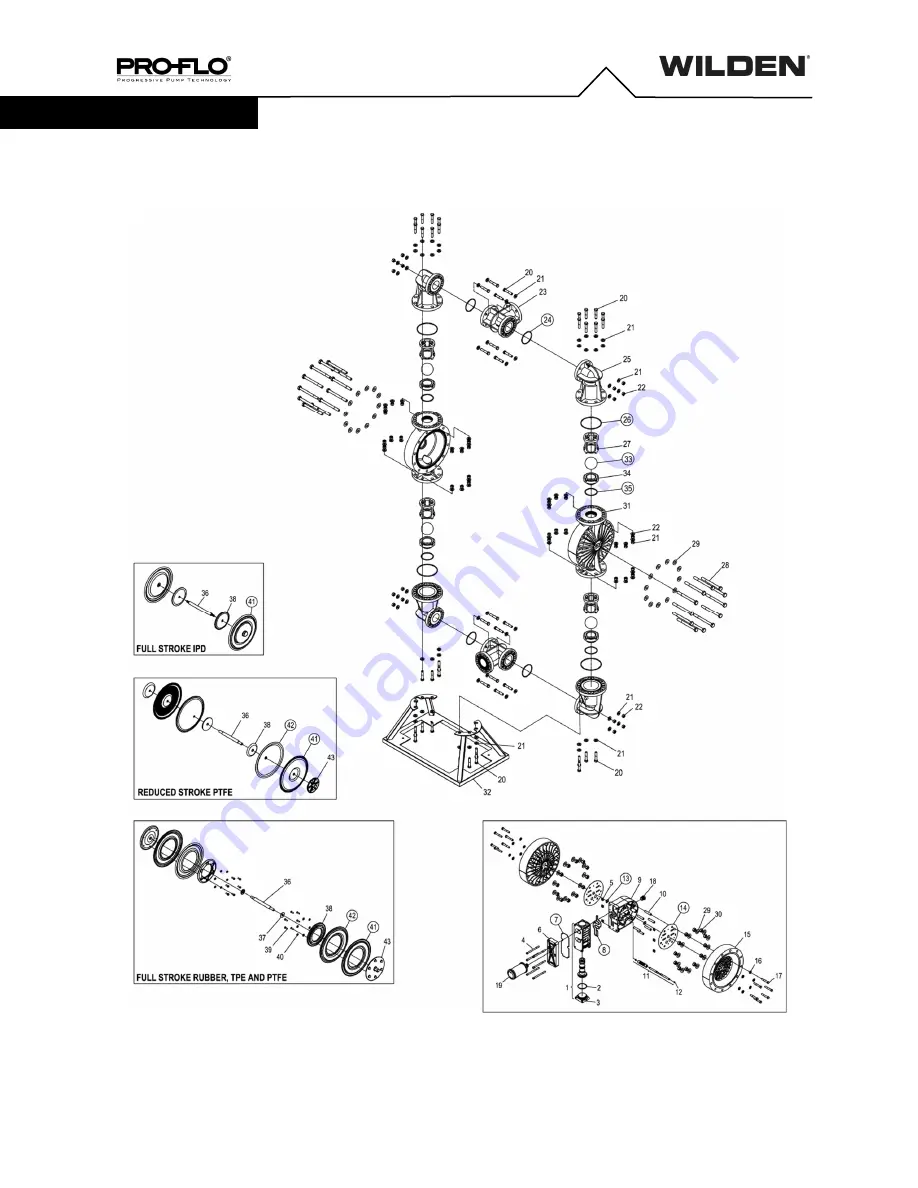 Dover PSG Wilden PRO-FLO P1500 Скачать руководство пользователя страница 20