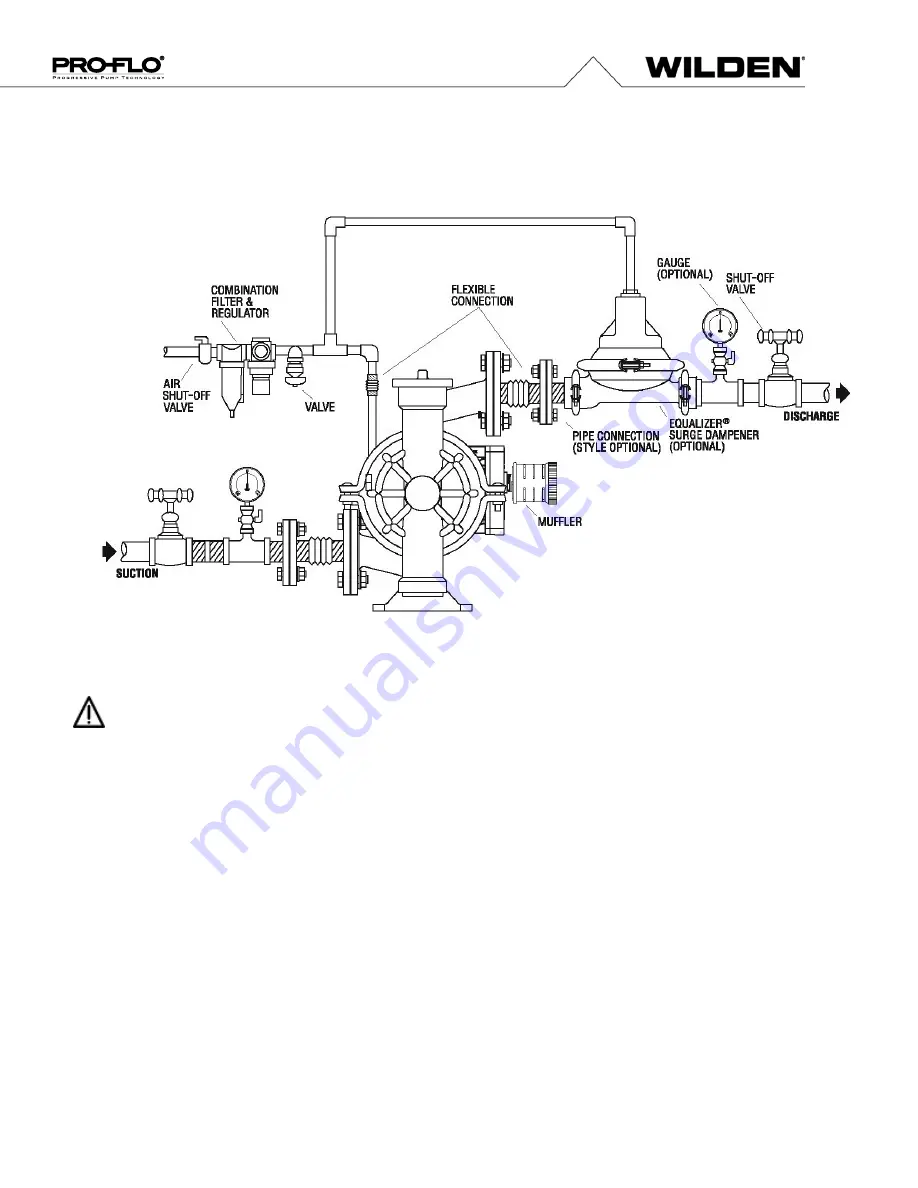 Dover PSG Wilden PRO-FLO P2 Engineering, Operation & Maintenance Download Page 12