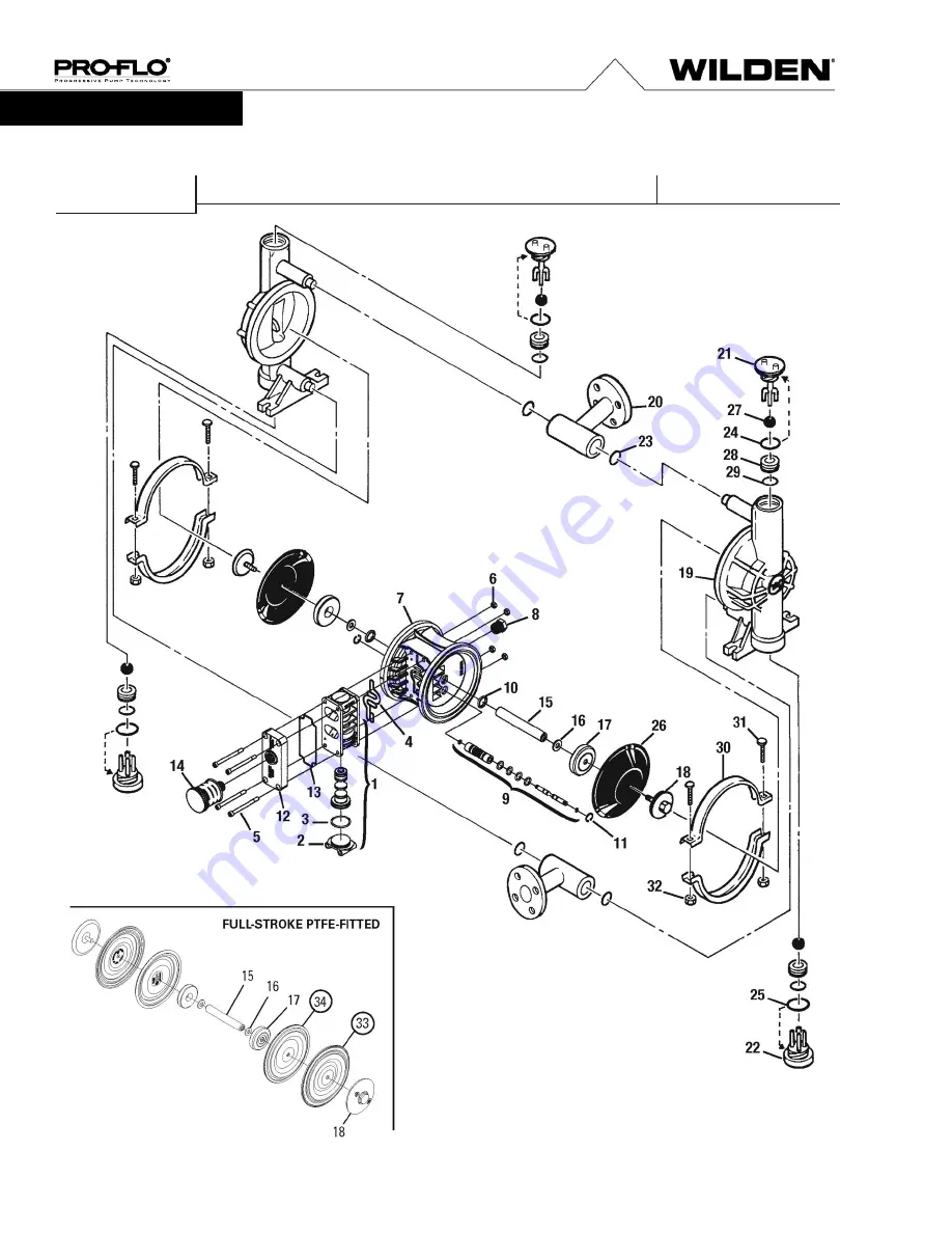 Dover PSG Wilden PRO-FLO P2 Скачать руководство пользователя страница 22