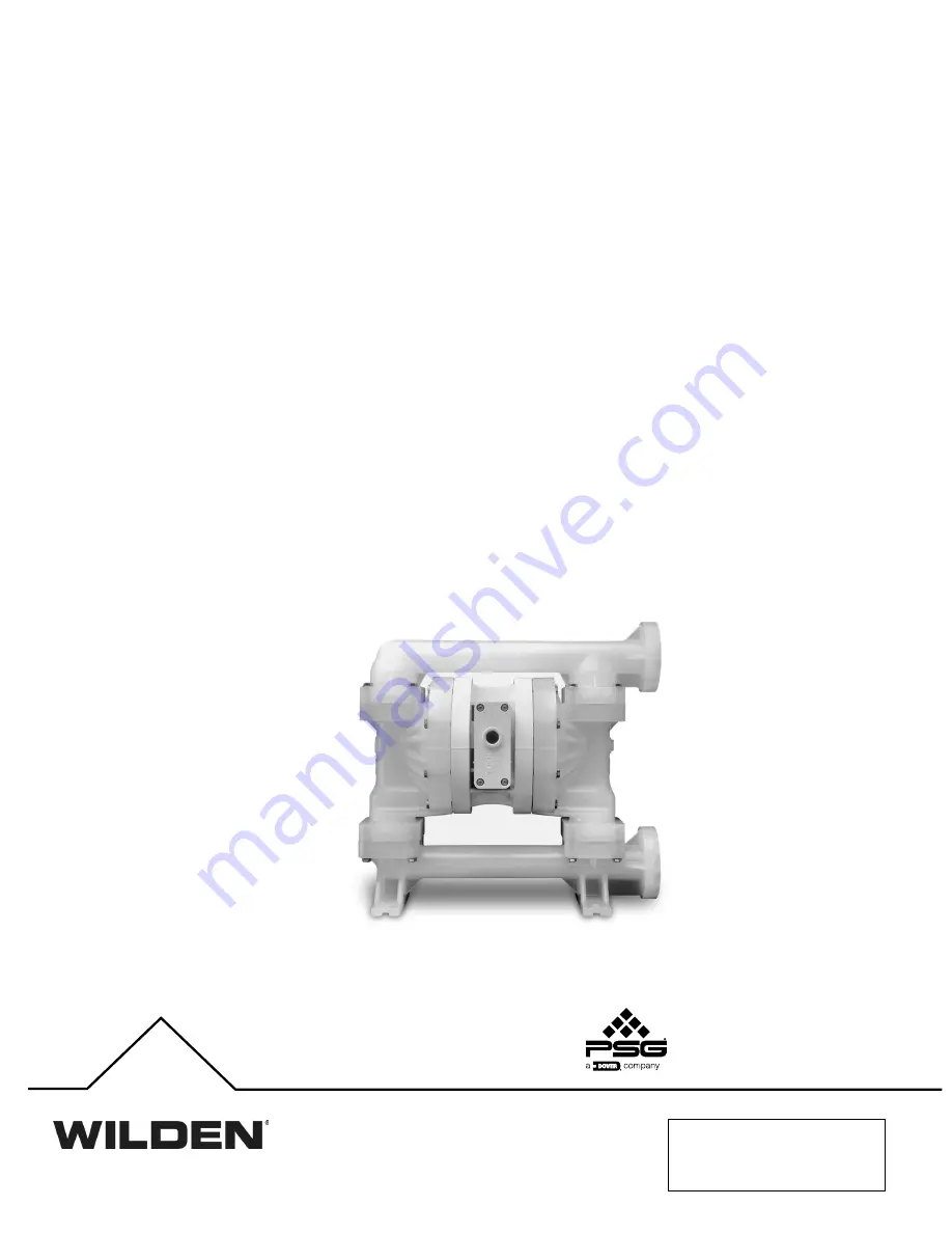 Dover PSG WILDEN PRO-FLO P200/ PKPPP 0502 Series Скачать руководство пользователя страница 1