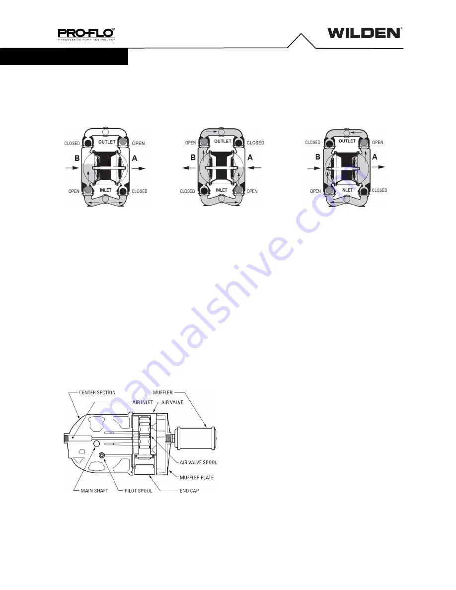 Dover PSG WILDEN PRO-FLO P200/ PKPPP 0502 Series Скачать руководство пользователя страница 6