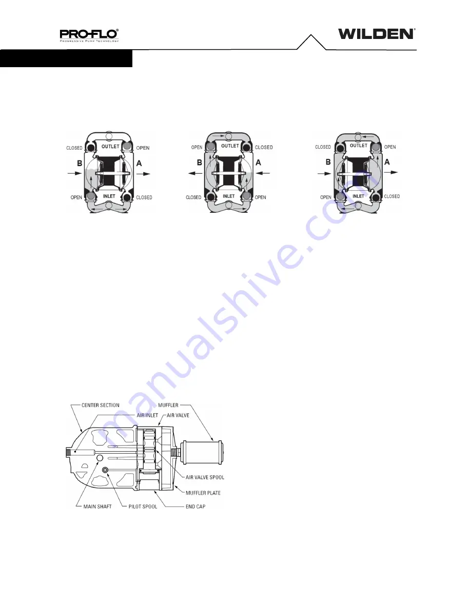 Dover PSG Wilden Pro-Flo P800 Series Engineering Operation & Maintenance Manual Download Page 6