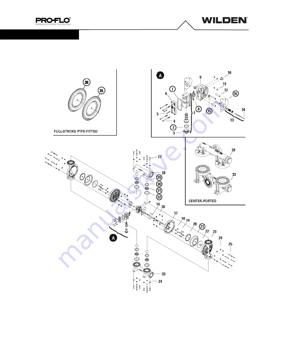 Dover PSG Wilden Pro-Flo P800 Series Engineering Operation & Maintenance Manual Download Page 22