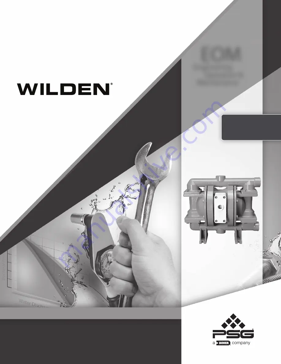 Dover PSG Wilden PX220 Скачать руководство пользователя страница 1